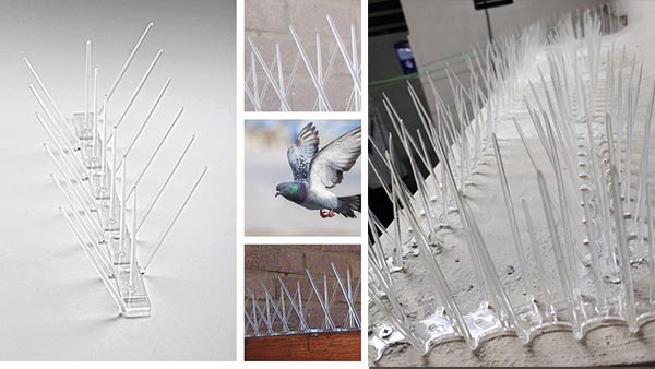 Bird Spike Installation