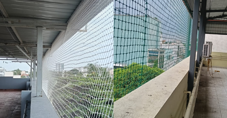 Dhoni Enterprises Team