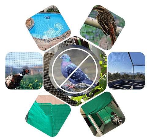 Ravi Safety Nets installation image